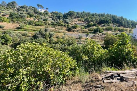 Villa i Monchique, Faro, Monchique - € 220.000 | Ref: GP-VIV1128 - foto 8