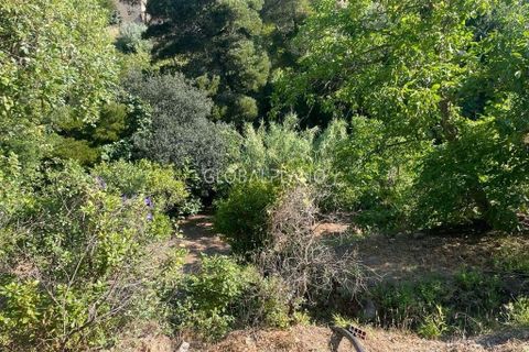 Villa i Monchique, Faro, Monchique - € 220.000 | Ref: GP-VIV1128 - foto 9
