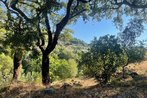 Villa i Monchique, Faro, Monchique - € 220.000 | Ref: GP-VIV1128 - foto 10