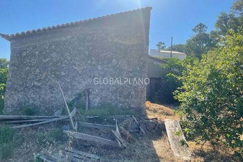 Villa i Monchique, Faro, Monchique - € 220.000 | Ref: GP-VIV1128 - foto 11