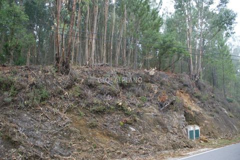 Terra a Marmelete, Faro, Marmelete - € 27.000 | Ref: GP-TER389 - foto 2