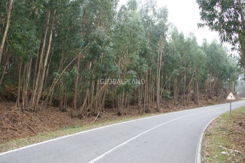 Terra a Marmelete, Faro, Marmelete - € 27.000 | Ref: GP-TER389 - foto 5