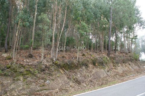 Terra a Marmelete, Faro, Marmelete - € 27.000 | Ref: GP-TER389 - foto 7