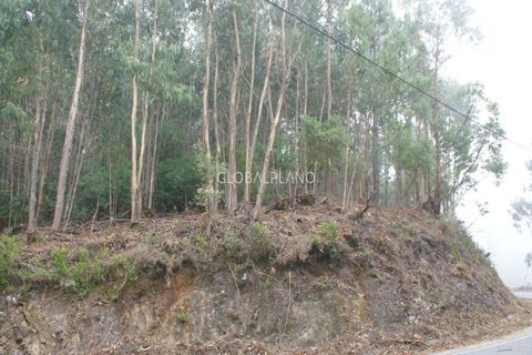 Terra a Marmelete, Faro, Marmelete - € 27.000 | Ref: GP-TER389 - foto 8