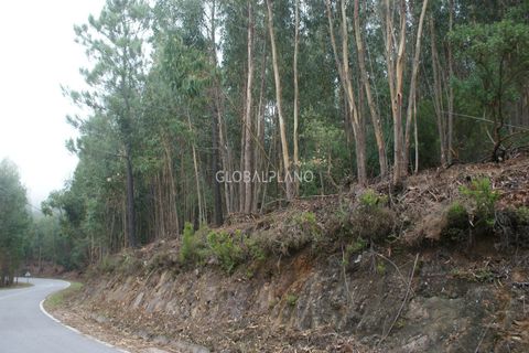 Terra a Marmelete, Faro, Marmelete - € 27.000 | Ref: GP-TER389 - foto 9