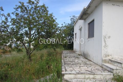 Farm i Estombar, Faro, Estombar - € 1.250.000 | Ref: GP-QNT112 - foto 2