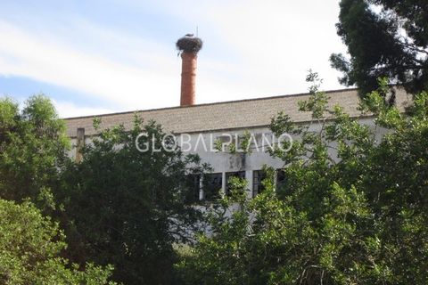 Farm i Estombar, Faro, Estombar - € 1.250.000 | Ref: GP-QNT112 - foto 3
