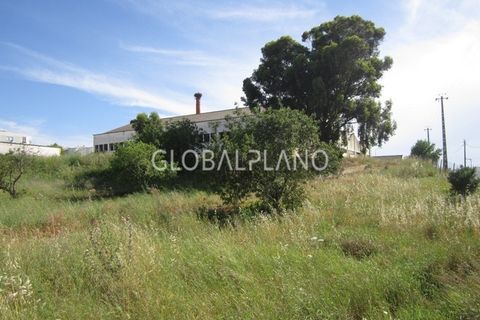 Farm i Estombar, Faro, Estombar - € 1.250.000 | Ref: GP-QNT112 - foto 4