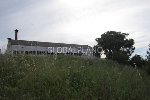 Farm i Estombar, Faro, Estombar - € 1.250.000 | Ref: GP-QNT112 - foto 6
