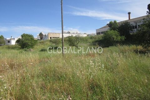 Farm i Estombar, Faro, Estombar - € 1.250.000 | Ref: GP-QNT112 - foto 7