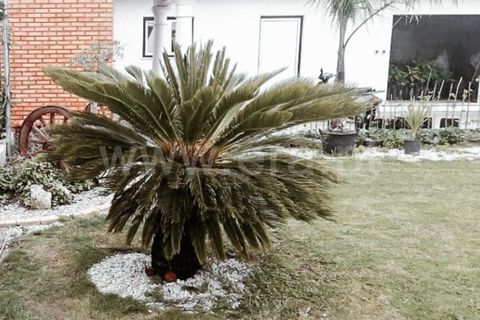 Villa a Vagos, Aveiro, Vagos - € 310.000 | Ref: 408240075 - foto 6