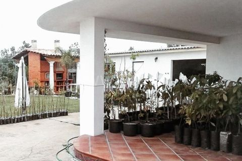 Villa a Vagos, Aveiro, Vagos - € 310.000 | Ref: 408240075 - foto 11