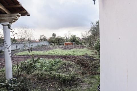Villa a Vagos, Aveiro, Vagos - € 310.000 | Ref: 408240075 - foto 26