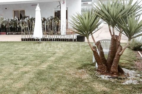 Villa a Vagos, Aveiro, Vagos - € 310.000 | Ref: 408240075 - foto 40