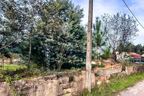 Terra a Agueda, Aveiro, Agueda - € 120.000 | Ref: 408240079 - foto 2