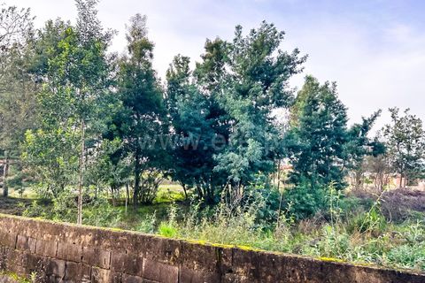 Terra a Agueda, Aveiro, Agueda - € 120.000 | Ref: 408240079 - foto 4