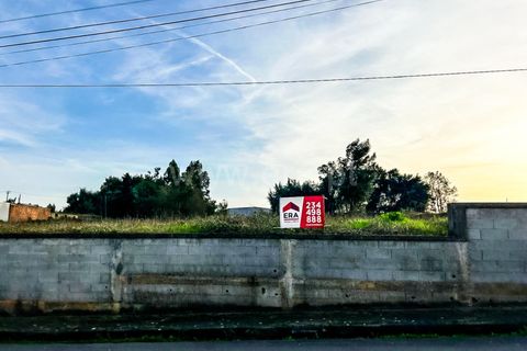 Terra a Agueda, Aveiro, Agueda - € 120.000 | Ref: 408240079 - foto 5
