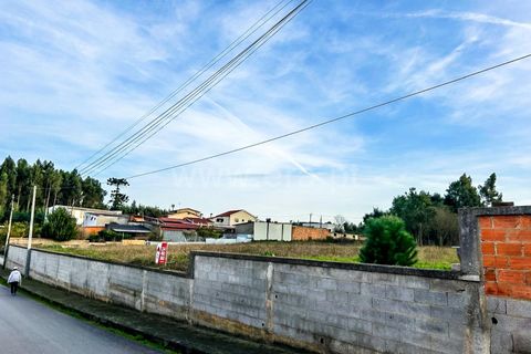 Terra a Agueda, Aveiro, Agueda - € 120.000 | Ref: 408240079 - foto 6