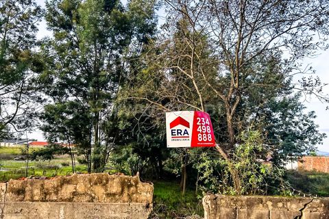 Terra a Agueda, Aveiro, Agueda - € 120.000 | Ref: 408240079 - foto 7