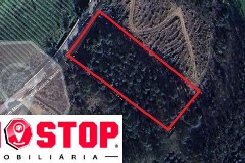 Helårsgrund i Agueda, Aveiro, Agueda - € 89.000 | Ref: 12621 - foto 3