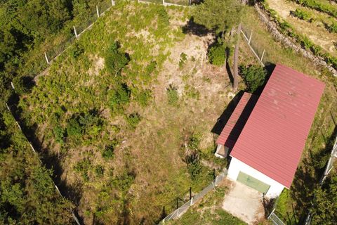 Farm hus i Viseu, Viseu, Viseu - € 275.000 | Ref: C0203-02144 - foto 9