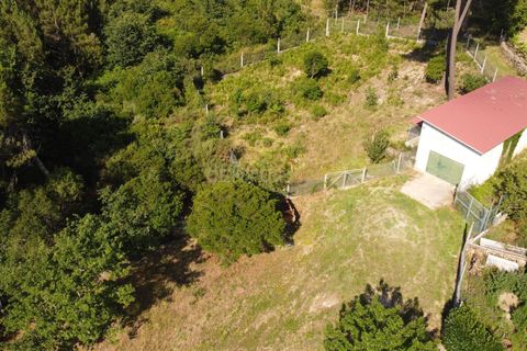 Farm hus i Viseu, Viseu, Viseu - € 275.000 | Ref: C0203-02144 - foto 10