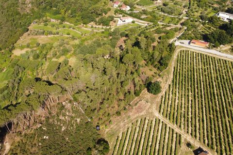 Farm hus i Viseu, Viseu, Viseu - € 275.000 | Ref: C0203-02144 - foto 12