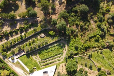 Farm hus i Viseu, Viseu, Viseu - € 275.000 | Ref: C0203-02144 - foto 14