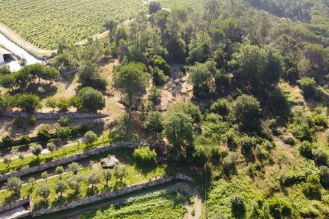 Farm hus i Viseu, Viseu, Viseu - € 275.000 | Ref: C0203-02144 - foto 15