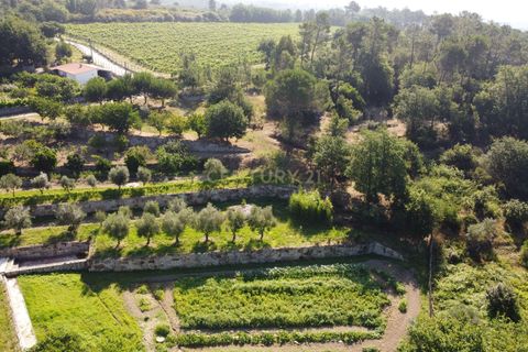Farm hus i Viseu, Viseu, Viseu - € 275.000 | Ref: C0203-02144 - foto 16