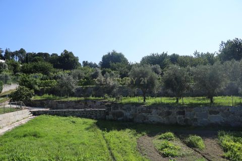 Farm hus i Viseu, Viseu, Viseu - € 275.000 | Ref: C0203-02144 - foto 18