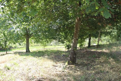 Farm hus i Viseu, Viseu, Viseu - € 275.000 | Ref: C0203-02144 - foto 21