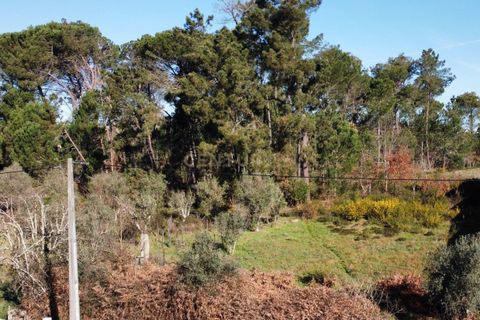Helårsgrund i Viseu, Viseu, Viseu - € 18.000 | Ref: C0203-02072 - foto 2
