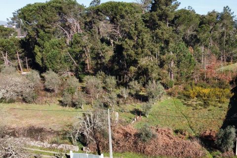 Helårsgrund i Viseu, Viseu, Viseu - € 18.000 | Ref: C0203-02072 - foto 3