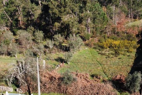 Helårsgrund i Viseu, Viseu, Viseu - € 18.000 | Ref: C0203-02072 - foto 4