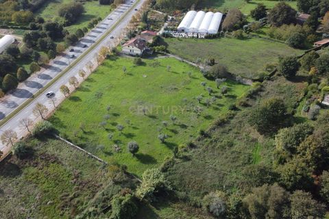 Helårsgrund i Viseu, Viseu, Viseu - € 785.000 | Ref: C0203-02192 - foto 6