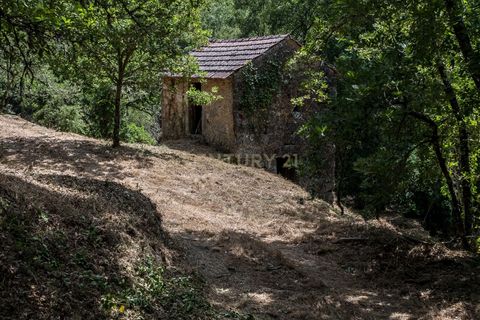 Farm hus i Tabua, Coimbra, Tabua - € 175.000 | Ref: C0203-01705 - foto 4