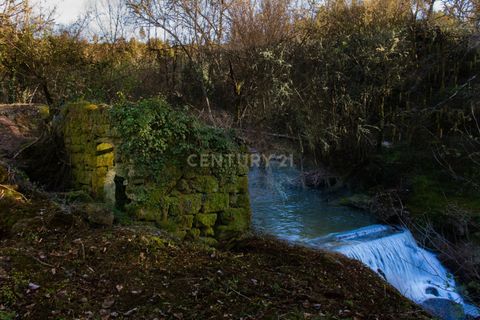 Farm hus i Tabua, Coimbra, Tabua - € 175.000 | Ref: C0203-01705 - foto 5