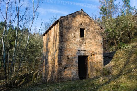 Farm hus i Tabua, Coimbra, Tabua - € 175.000 | Ref: C0203-01705 - foto 7