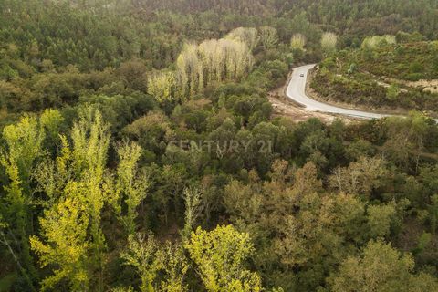 Farm hus i Tabua, Coimbra, Tabua - € 175.000 | Ref: C0203-01705 - foto 8
