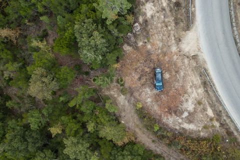 Farm hus i Tabua, Coimbra, Tabua - € 175.000 | Ref: C0203-01705 - foto 9