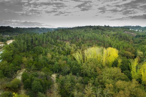 Farm hus i Tabua, Coimbra, Tabua - € 175.000 | Ref: C0203-01705 - foto 10