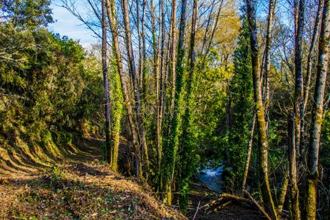 Farm hus i Tabua, Coimbra, Tabua - € 175.000 | Ref: C0203-01705 - foto 15
