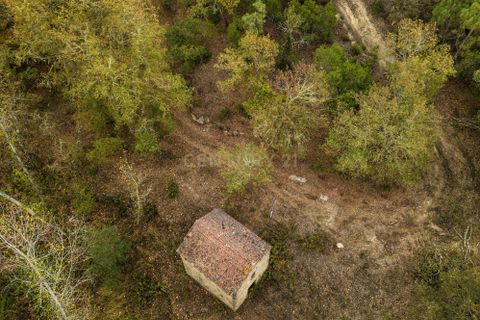 Farm hus i Tabua, Coimbra, Tabua - € 175.000 | Ref: C0203-01705 - foto 17