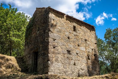 Farm hus i Tabua, Coimbra, Tabua - € 175.000 | Ref: C0203-01705 - foto 20