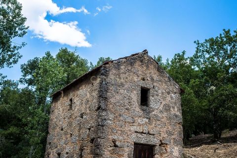 Farm hus i Tabua, Coimbra, Tabua - € 175.000 | Ref: C0203-01705 - foto 21