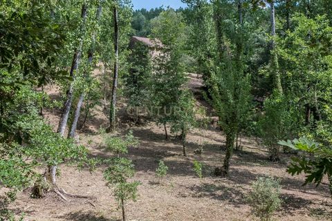 Farm hus i Tabua, Coimbra, Tabua - € 175.000 | Ref: C0203-01705 - foto 22