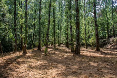Farm hus i Tabua, Coimbra, Tabua - € 175.000 | Ref: C0203-01705 - foto 23