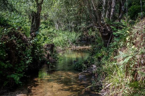 Farm hus i Tabua, Coimbra, Tabua - € 175.000 | Ref: C0203-01705 - foto 24