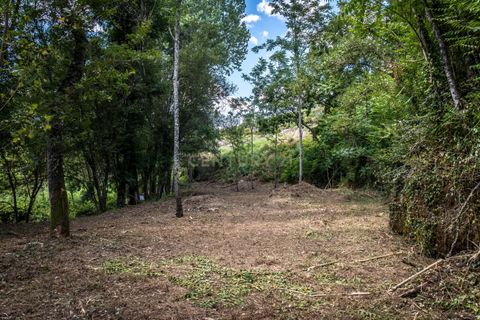 Farm hus i Tabua, Coimbra, Tabua - € 175.000 | Ref: C0203-01705 - foto 25